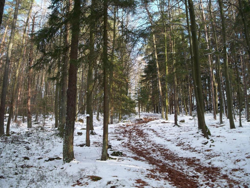 Blockhaus Hedwig Stamsried